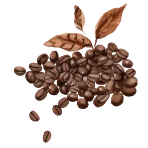 graos de cafe